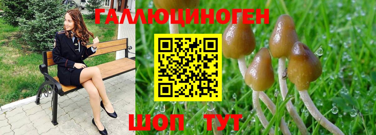 Галлюциногенные грибы мицелий  Вход с VPN  Кудрово  Галлюциногенные грибы GOLDEN TEACHER 