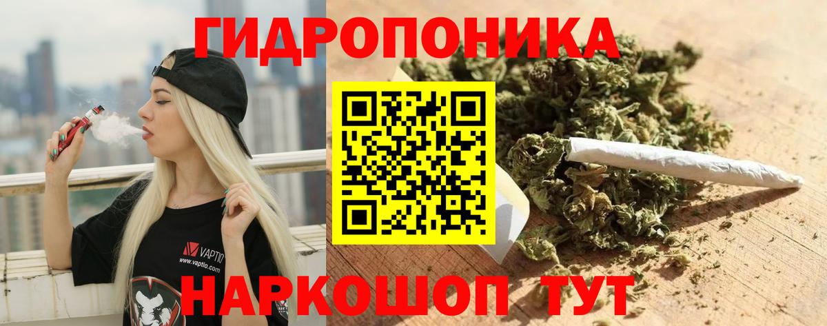 Канабис OG Kush  Конопля Amnesia  Вход с VPN  Конопля Bruce Banner  Кудрово 